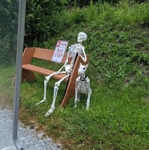 Meet your Posher, J paul